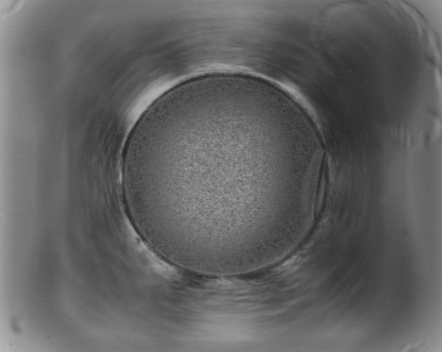 X0000099471287200805161102