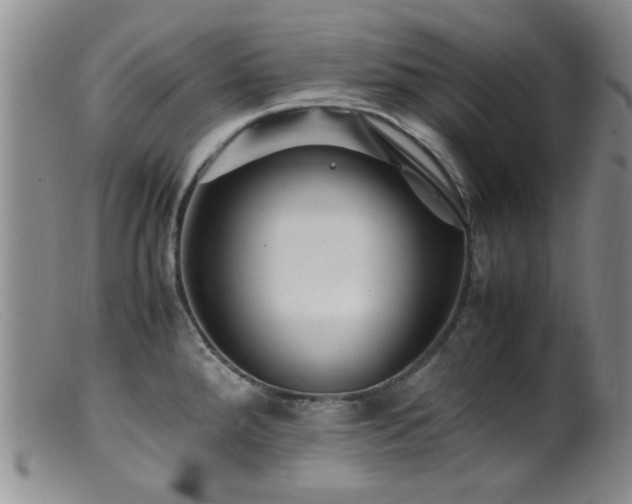 X0000099471288200805161102