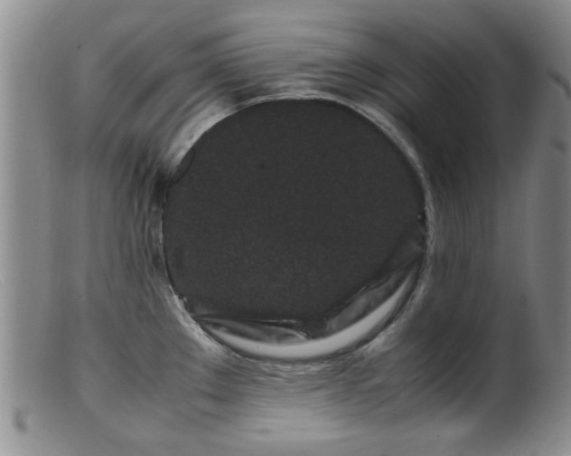 X0000099471289200805161102