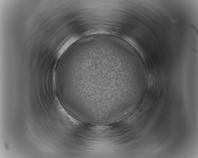 X0000099471290200805161102