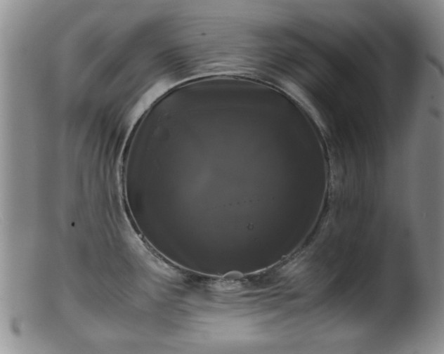 X0000099471291200805161102