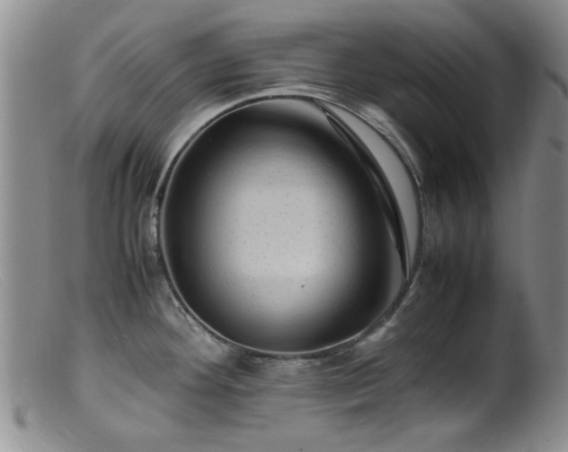 X0000099471292200805161102
