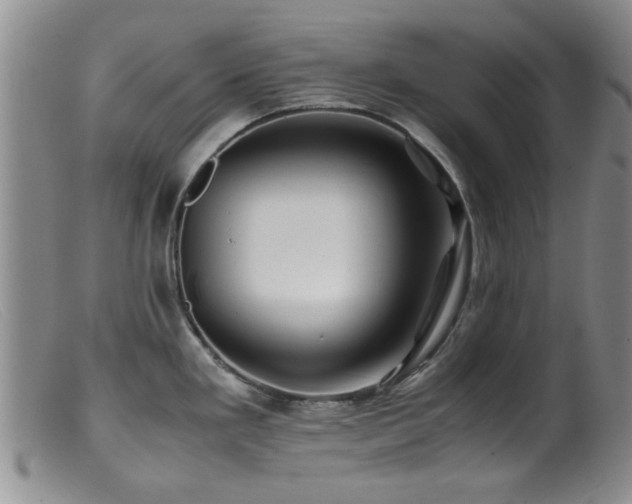 X0000099471293200805161102