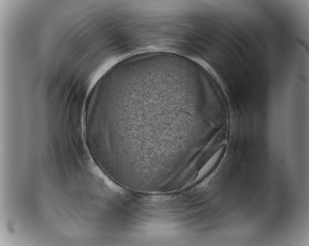 X0000099471294200805161102