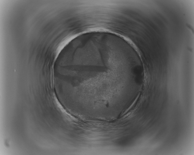 X0000099471295200805161102