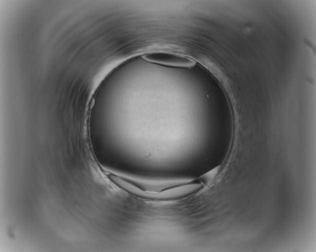 X0000099471296200805161102
