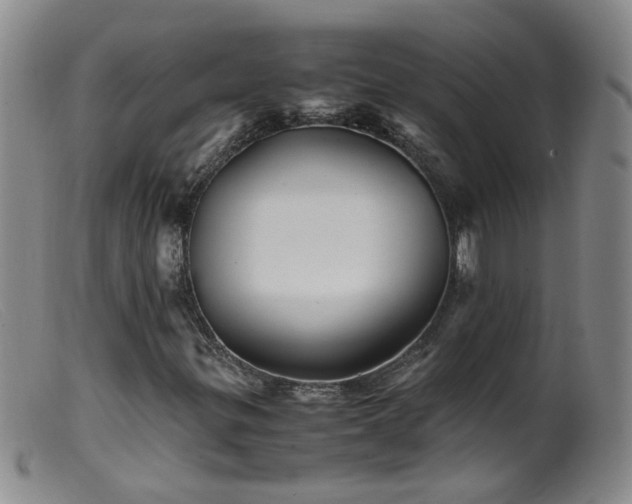 X0000099471299200805161101