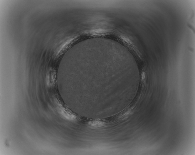 X0000099471300200805161101