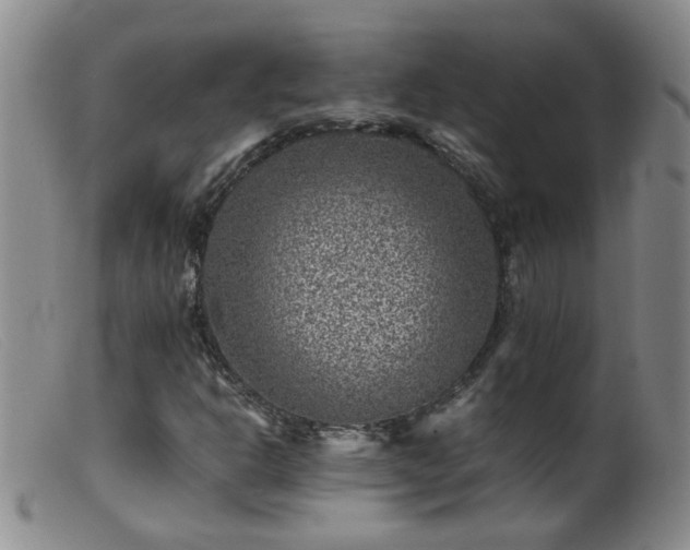 X0000099471302200805161101