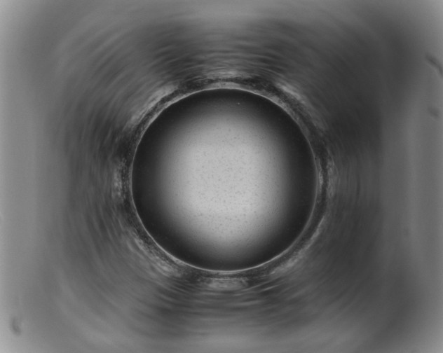 X0000099471305200805161101