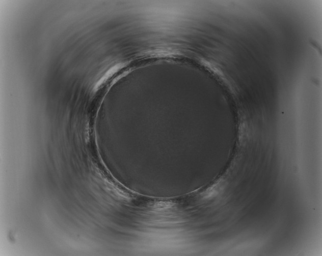 X0000099471306200805161101