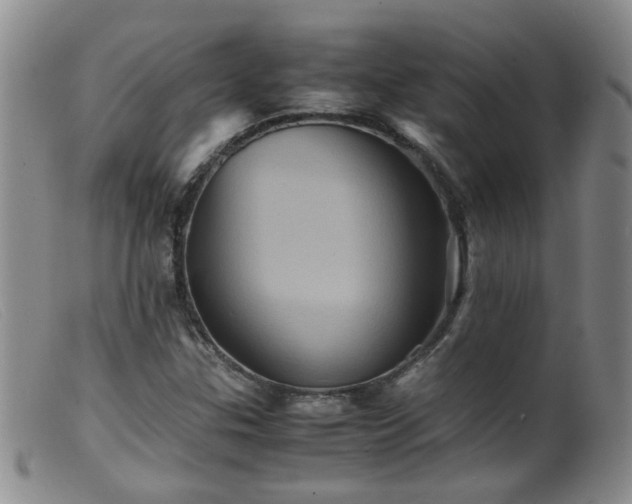 X0000099471307200805161101