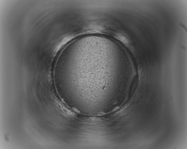 X0000099471308200805161101