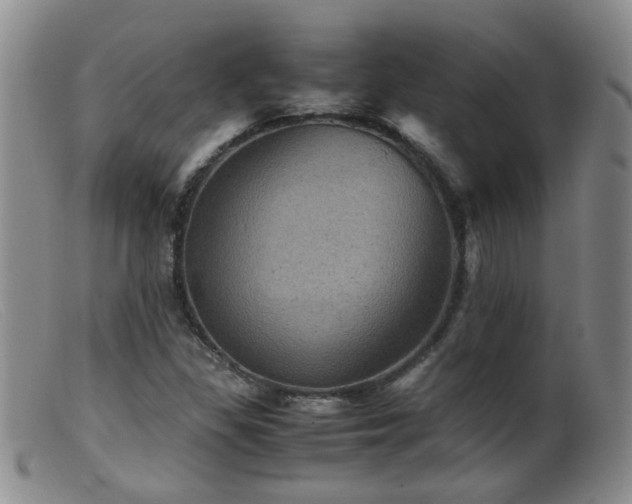 X0000099471309200805161101