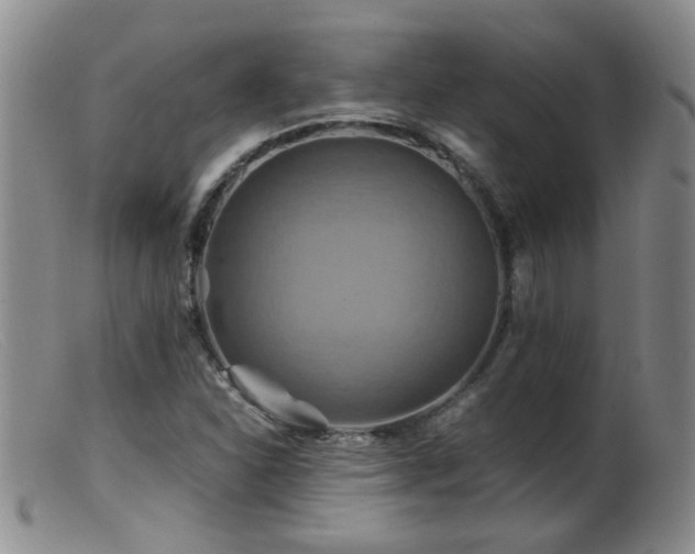 X0000099471310200805161101
