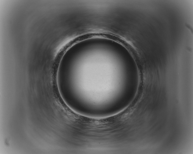 X0000099471311200805161101