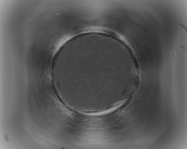 X0000099471312200805161101