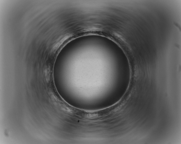 X0000099471313200805161101