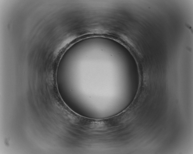 X0000099471315200805161101