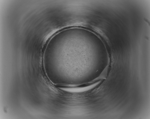 X0000099471316200805161101