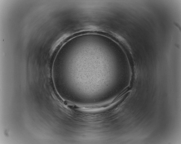 X0000099471318200805161102