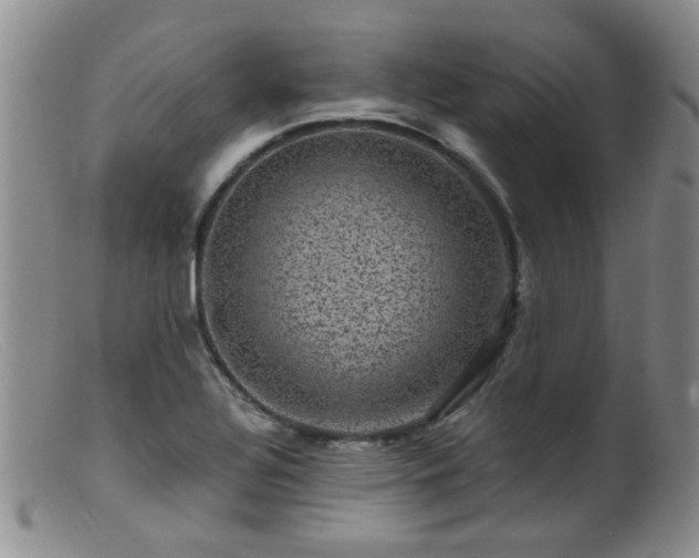 X0000099471320200805161102