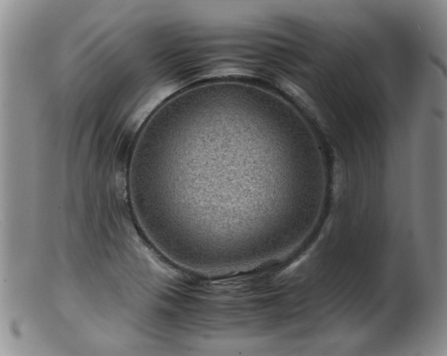 X0000099471321200805161102