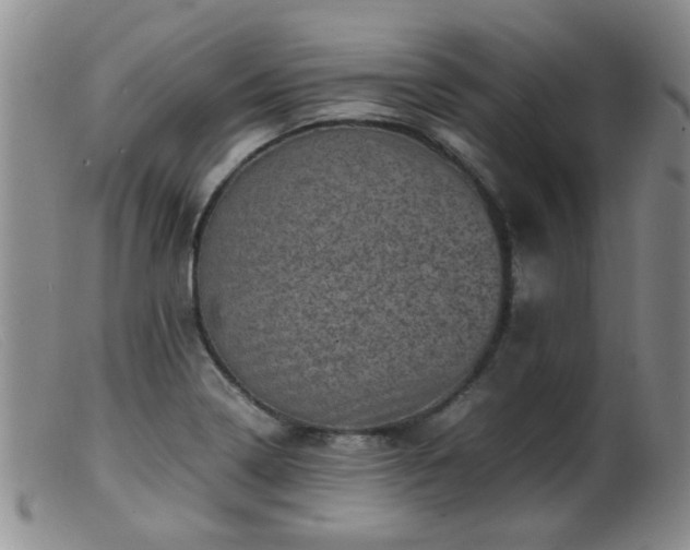 X0000099471322200805161102