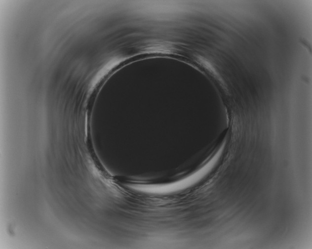 X0000099471323200805161102