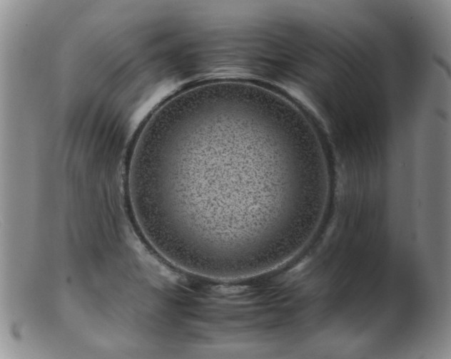 X0000099471325200805161102