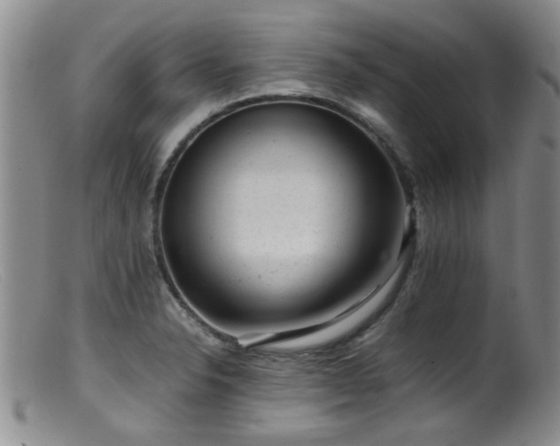 X0000099471326200805161102