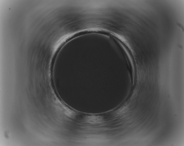 X0000099471327200805161102