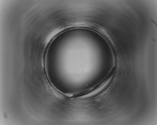 X0000099471328200805161102