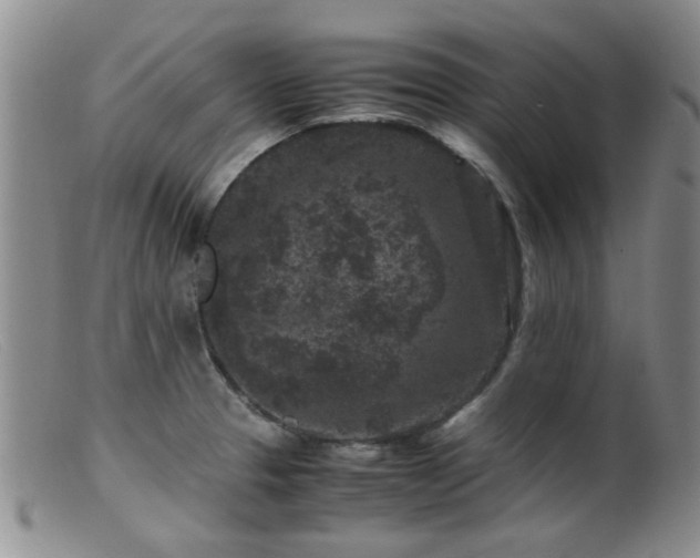X0000099471329200805161102