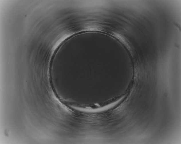 X0000099471331200805161102