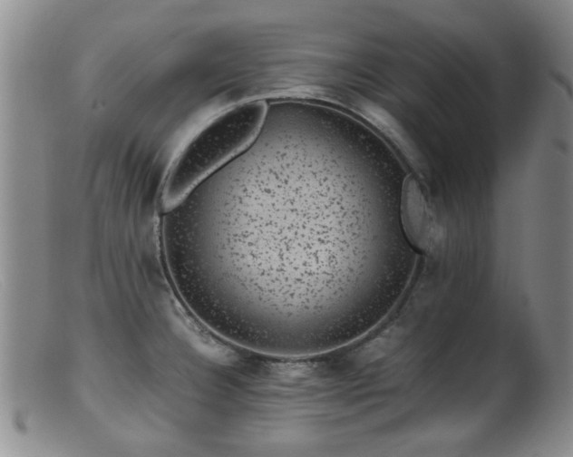 X0000099471332200805161102