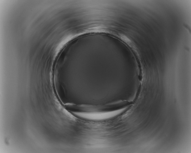 X0000099471334200805161102