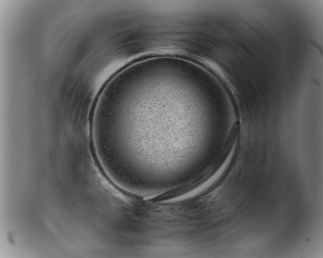 X0000099471335200805161102