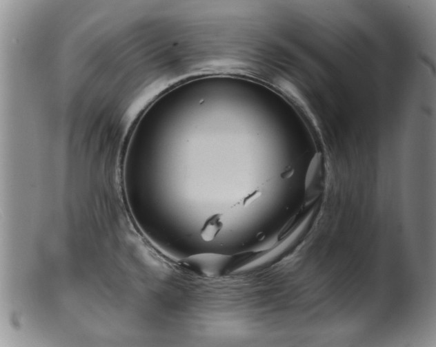 X0000099471336200805161102