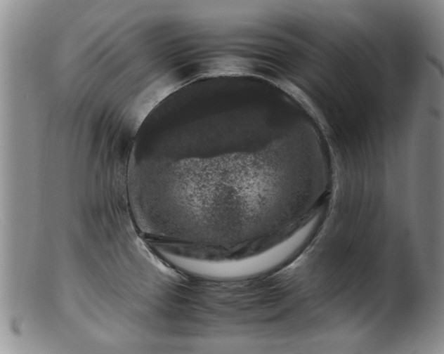 X0000099471337200805161102