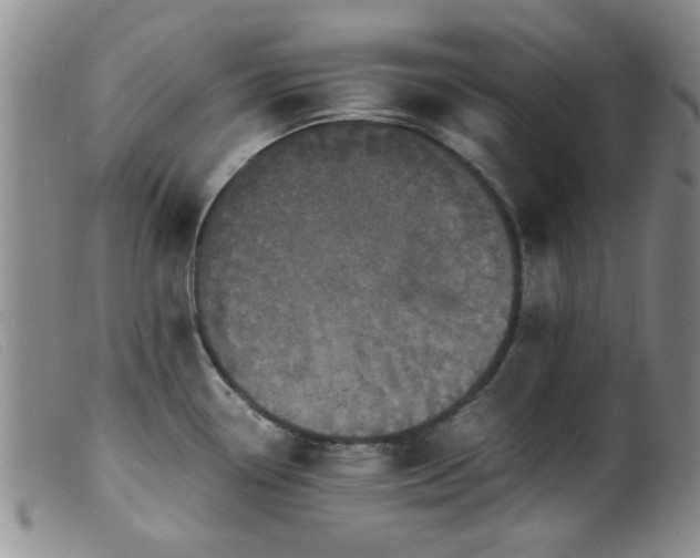 X0000099471338200805161102