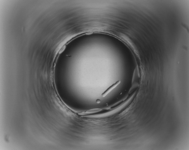 X0000099471340200805161102