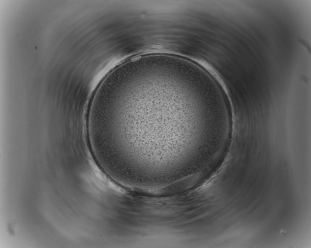 X0000099471341200805161102