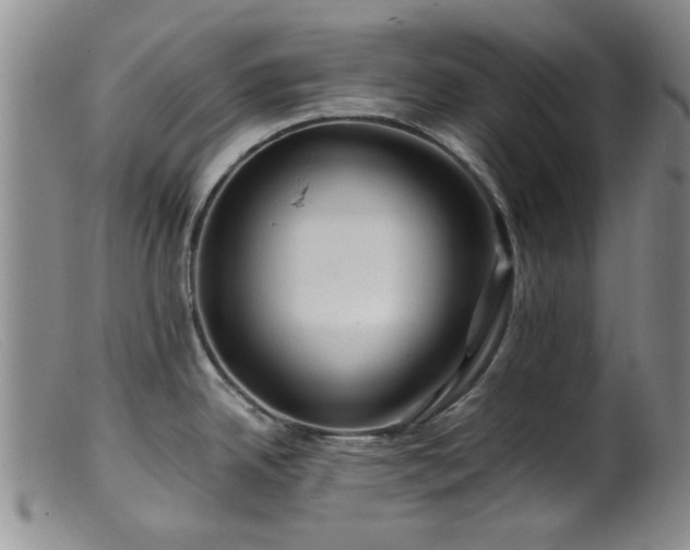 X0000099471342200805161102