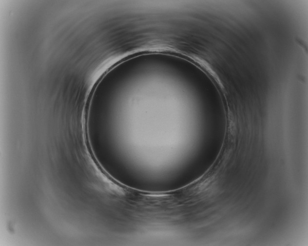 X0000099471343200805161102