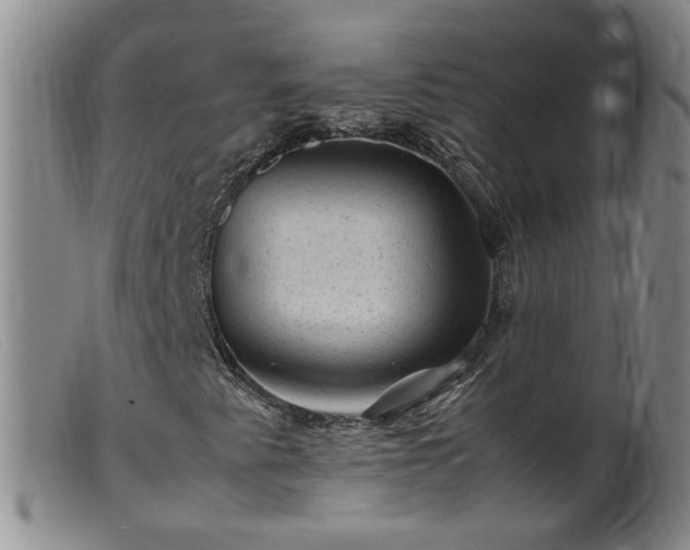 X0000099471345200805161101