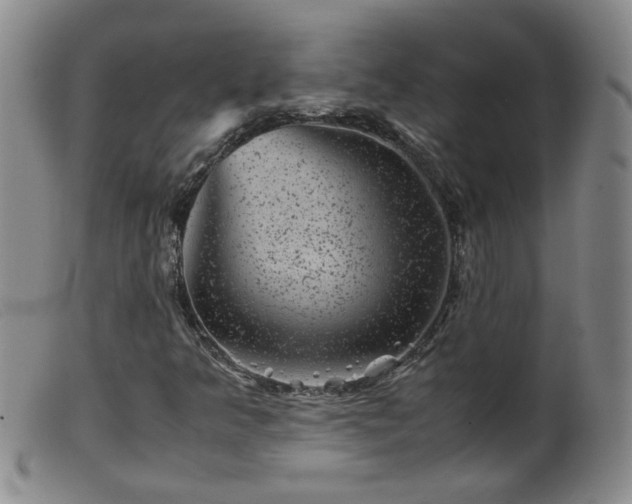 X0000099471349200805161101