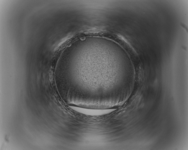 X0000099471350200805161101