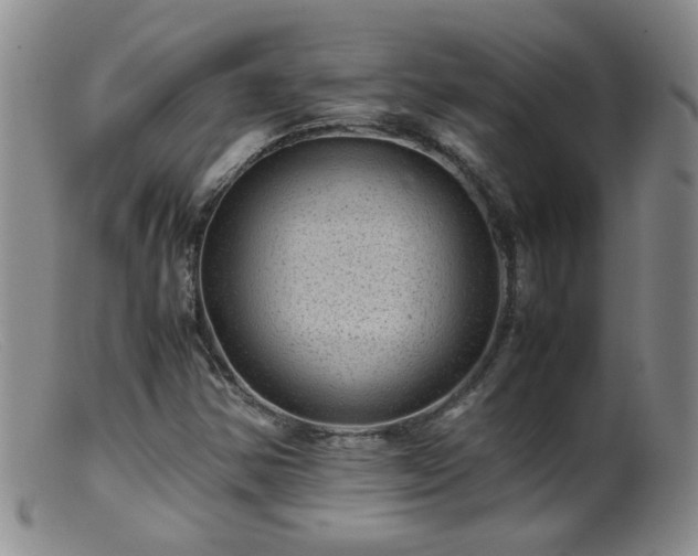 X0000099471354200805161101