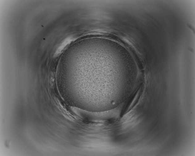 X0000099471355200805161101